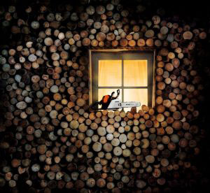 STIHL firewood log-pile window
