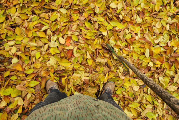 Turn leaves into nutritious compost by shredding them with a VIKING shredder