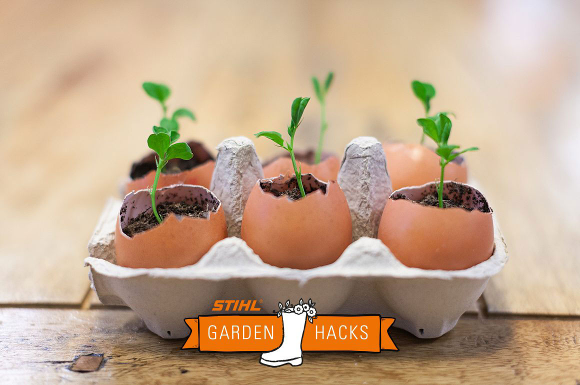 Egg Shells for Plants: Starter Pot Planters