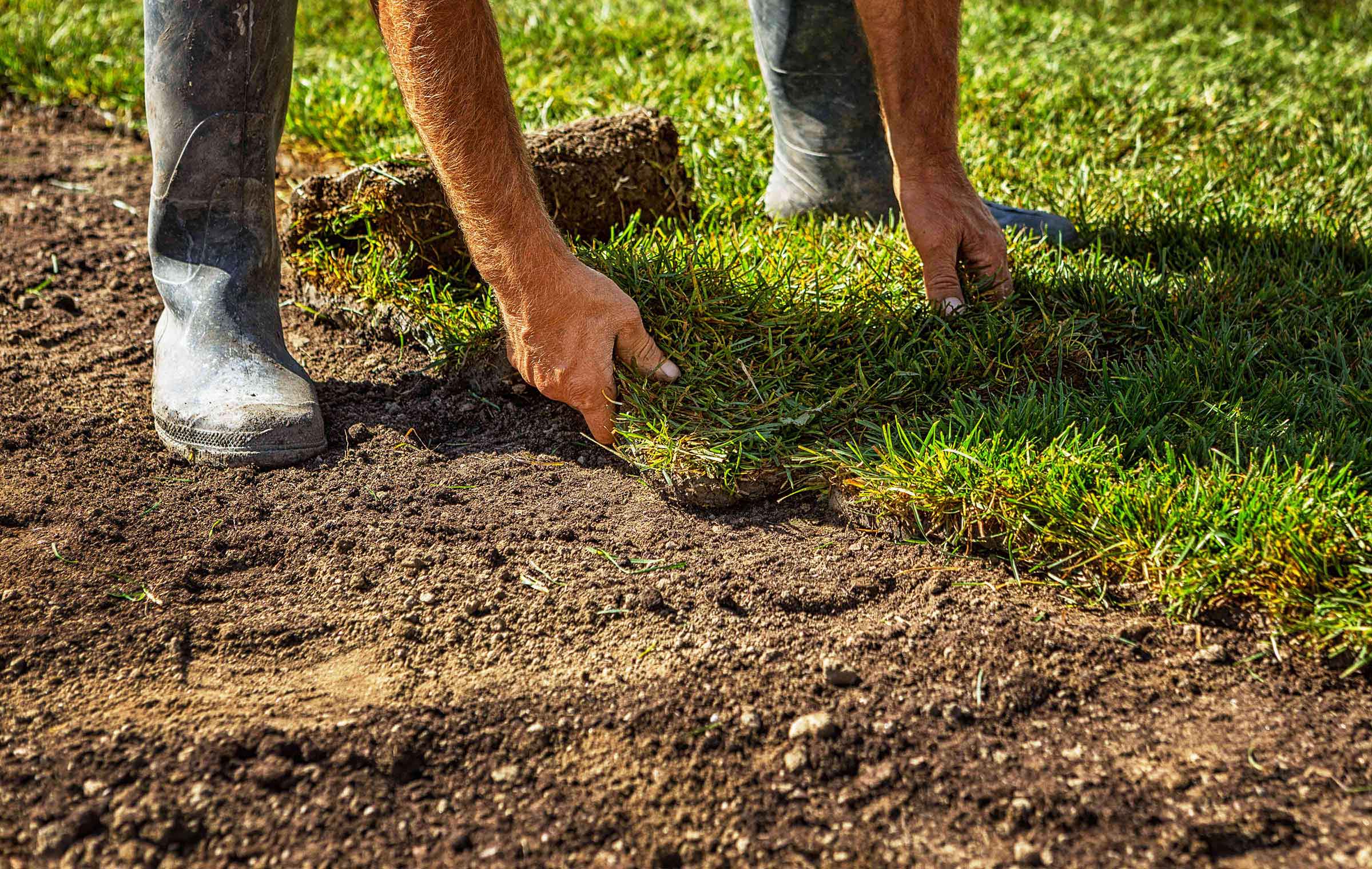 How to lay a lawn