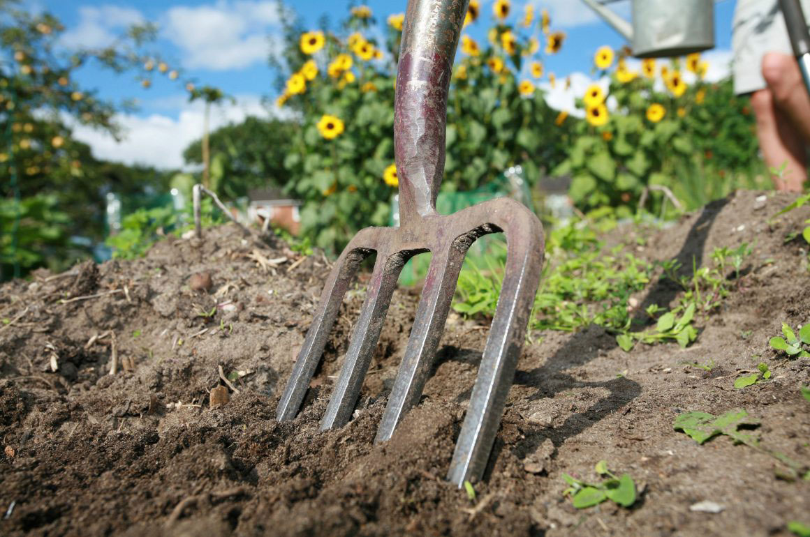 STIHL starting an allotment