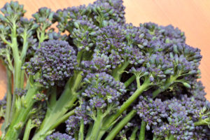 Purple sprouting broccoli 