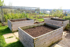 Wooden raised beds