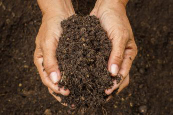 How to prepare soil for planting