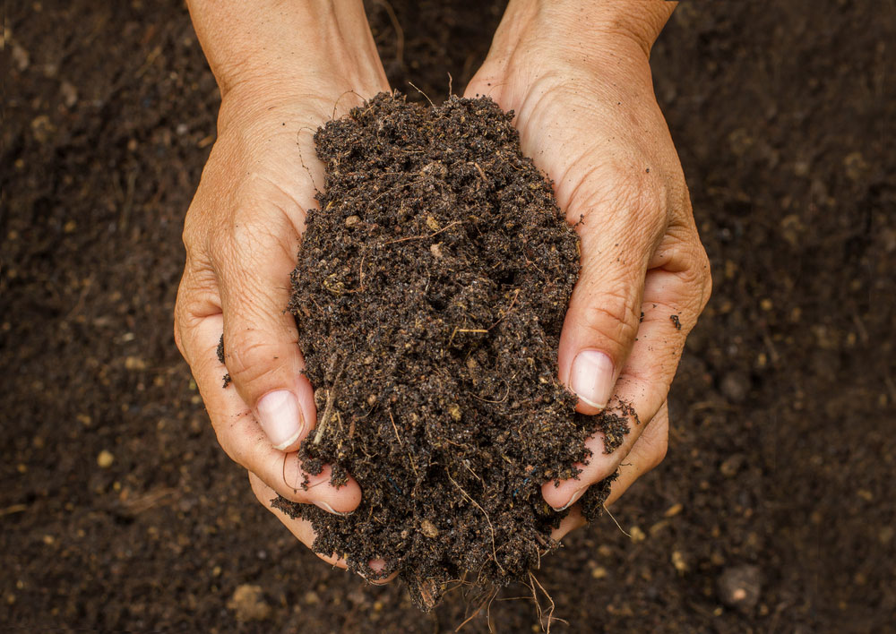 How to prepare soil for planting