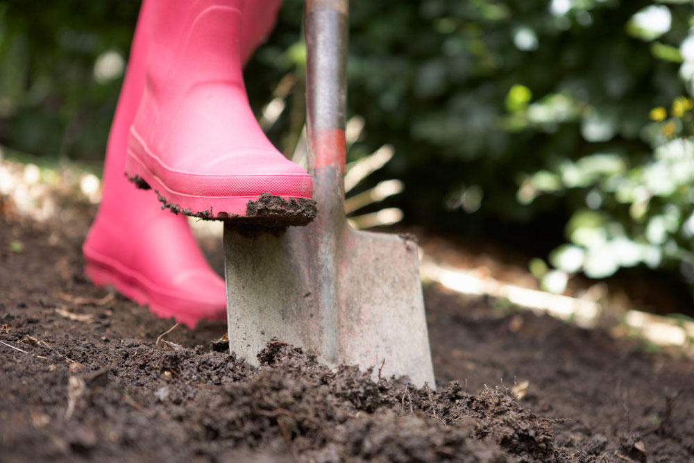 How to prepare soil for planting