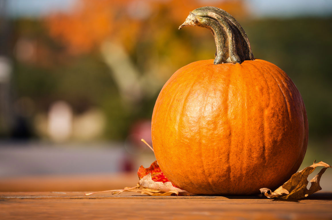 grow pumpkins in october