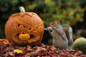 a squirrel carving a pumpkin with a mini STIHL chainsaw