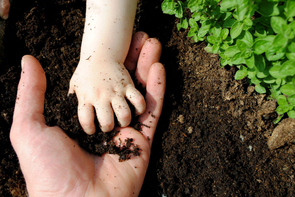 encourage children to play in the garden