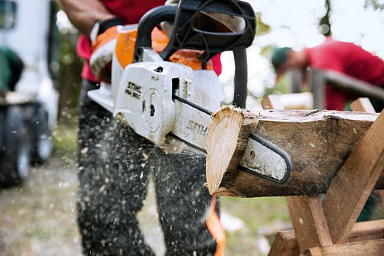 MSA160CBQ Dull Chainsaw Chain Feature