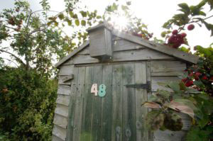 STIHL garden shed
