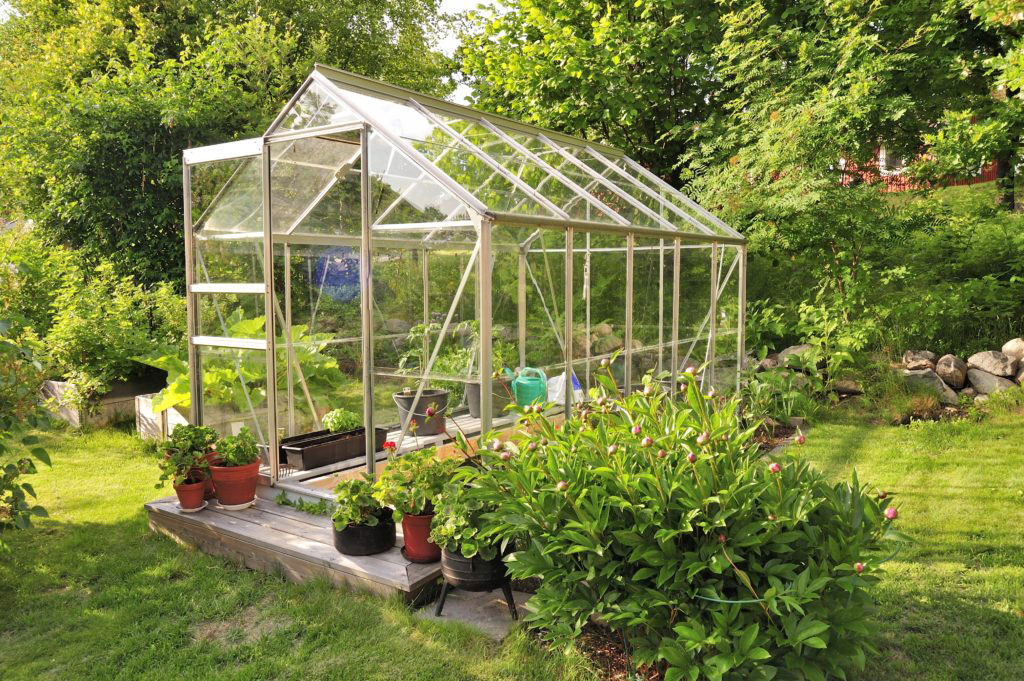 How To Clean a Greenhouse Guest Blog STIHL Blog