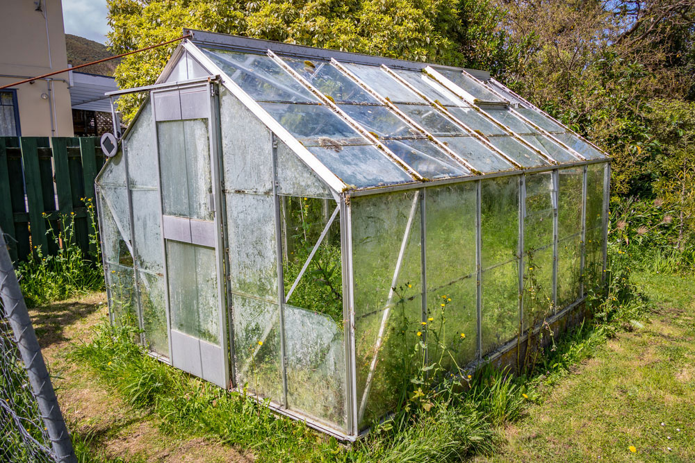 Dirty Greenhouse