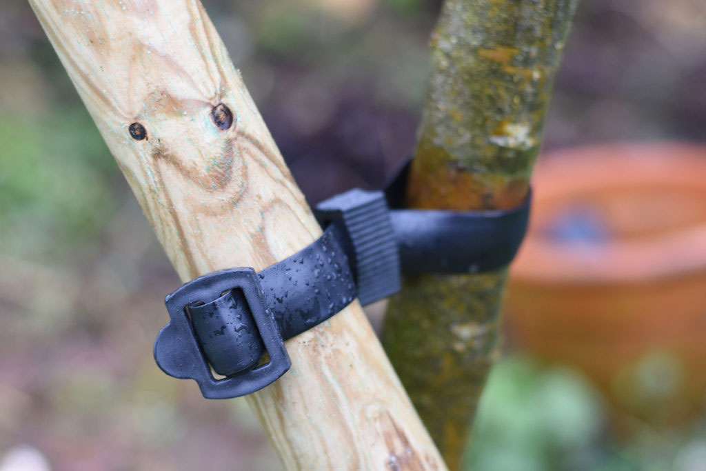 How To Correct A Leaning Tree With Support | STIHL Blog