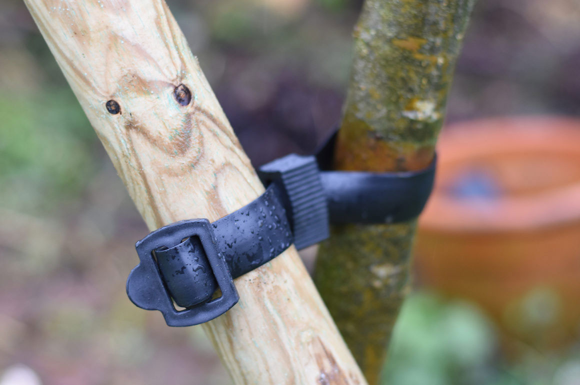 How To Correct A Leaning Tree With Support STIHL Blog