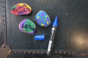Painted Rock Plant Markers