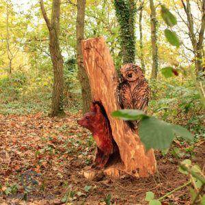 Owl Wood Carving at Meadow Park