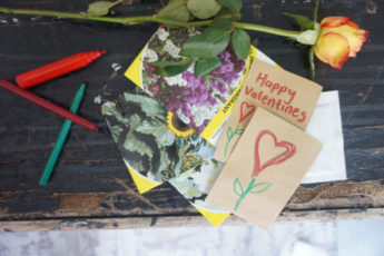 Personalised Seeds and Seed Envelopes For Valentines Day