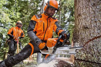 MS 462 Chainsaw in use
