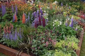inspiration at Chelsea flower show