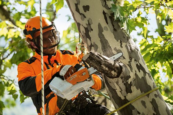 Best top deals handle arborist chainsaw