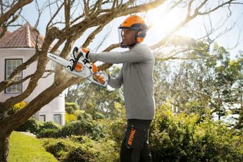 Pruning trees with the STIHL MS 150