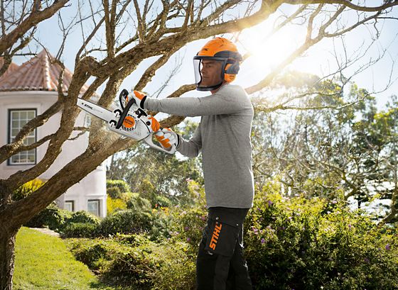 The STIHL guide to pruning branches from trees | STIHL Blog