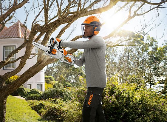 Pruning trees with the STIHL MS 150