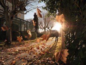 how autumn leaves can help your garden