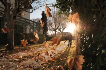 how autumn leaves can help your garden