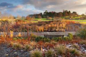 Hyde Hall Winter Garden