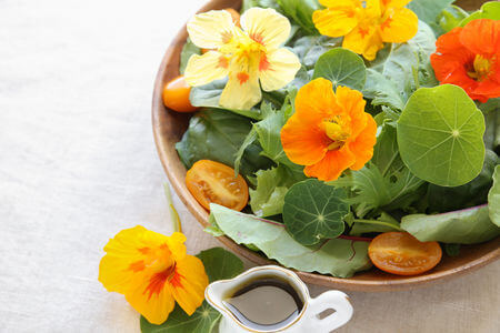 nasturtium flowers in salad