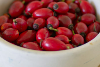 a bowl of rosehips