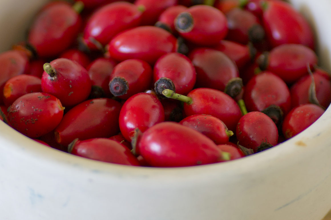 rosehip bowl