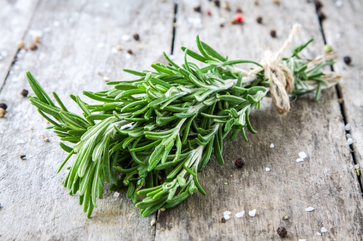 The Top Three Evergreen Herbs STIHL Blog