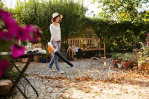 STIHL Blower Buying Guide