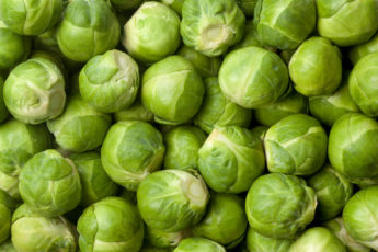 Fresh Brussels Sprouts