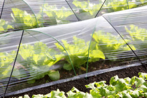 make your own polytunnel