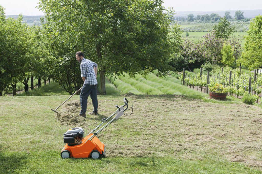 What is a lawn scarifier and how to use it - Radmore & Tucker