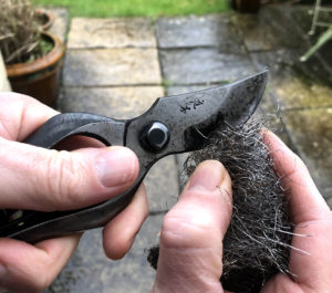 sharpen your garden tools