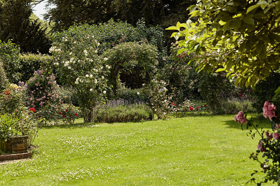 lawn in a garden, cut with a STIHL lawn mower