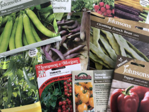 edible seeds to sow