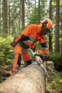 Arborist Cross Cutting