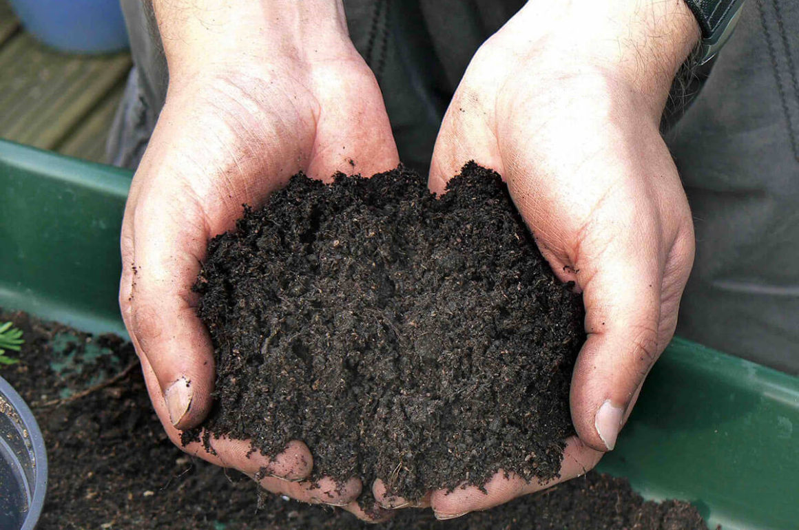 Soil In Hands