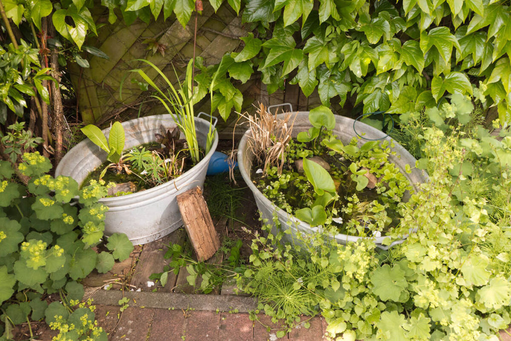How To Make A Small Pond In Your Garden, How To Build A Small Garden Pond From Container Uk