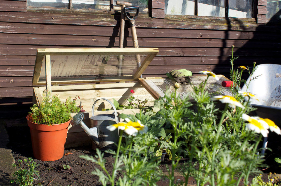 Wooden Cold Frame