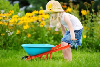 Child With Colour Wheelbarrow In Garden