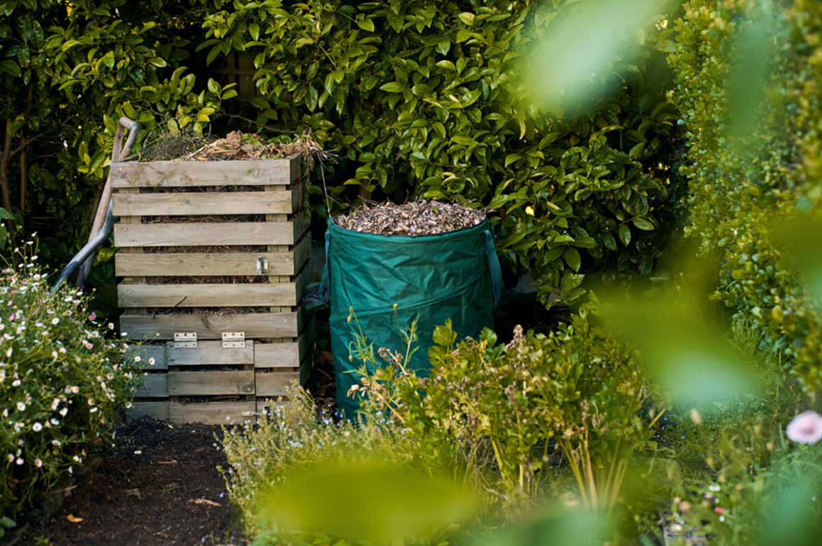 Compost Bin On Allotment