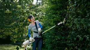 STIHL HLE Long Reach Hedge Trimmer