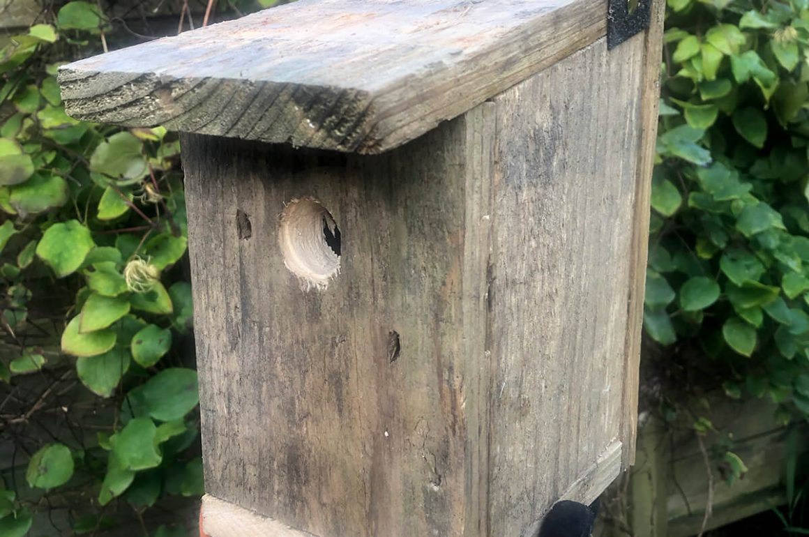 completed birdbox